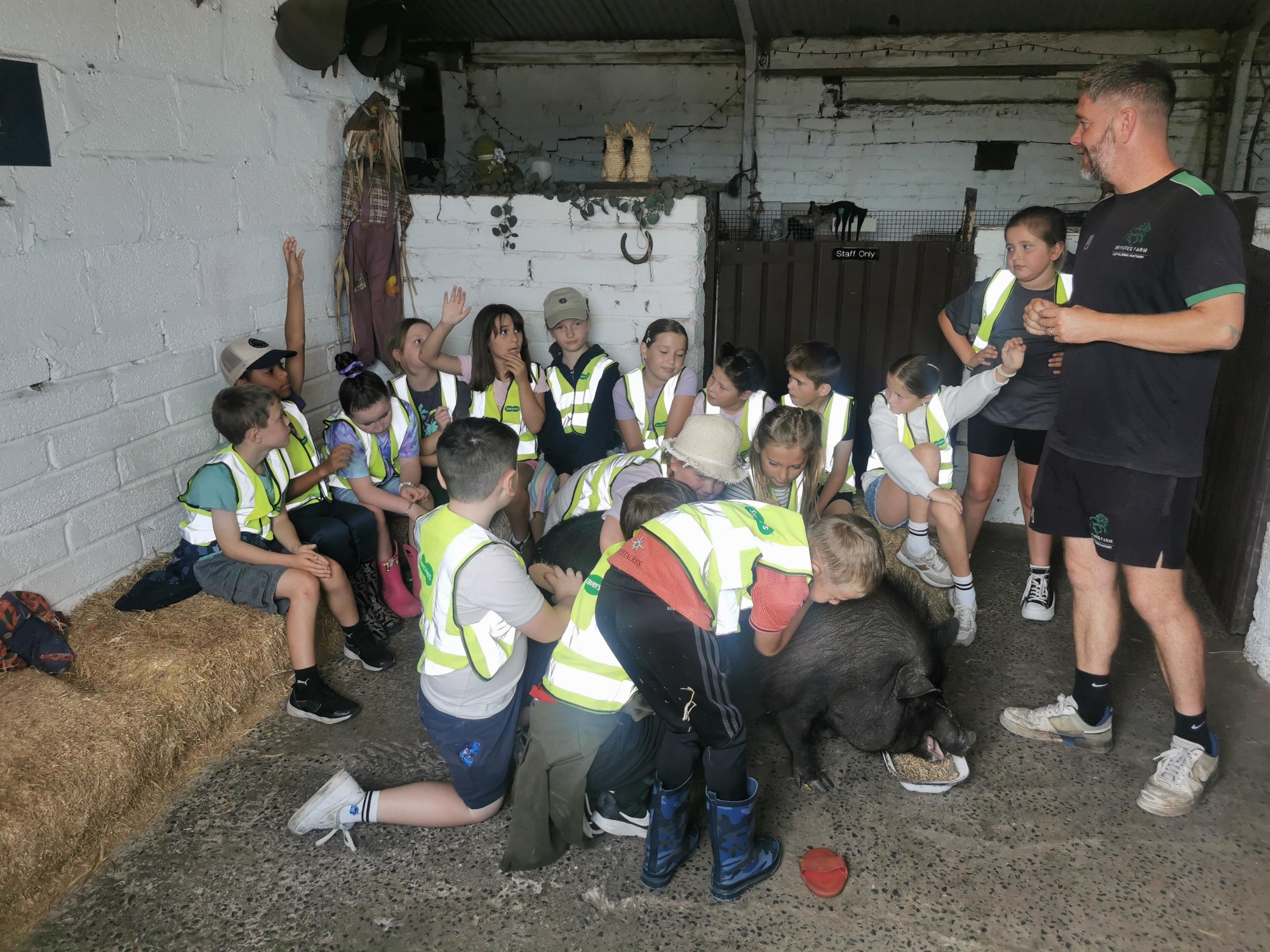 brynteg farm 6 - Copy.jpg