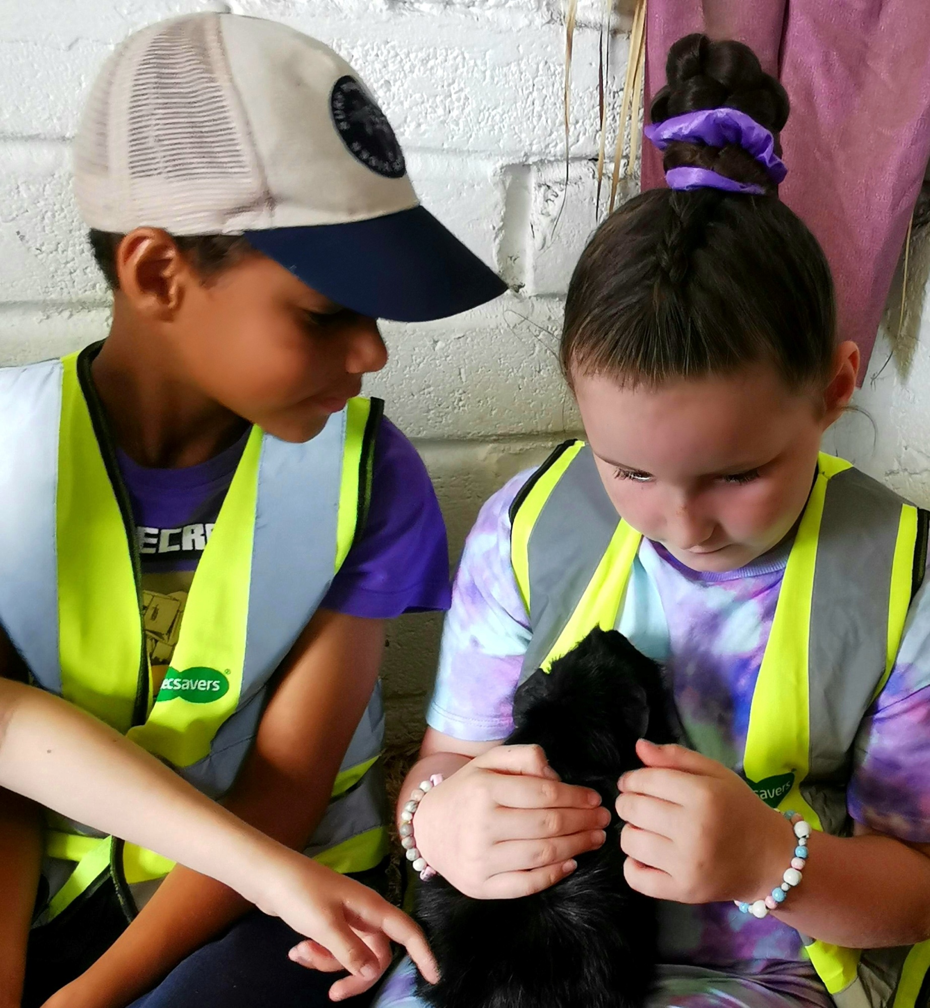 brynteg farm - Copy.jpg