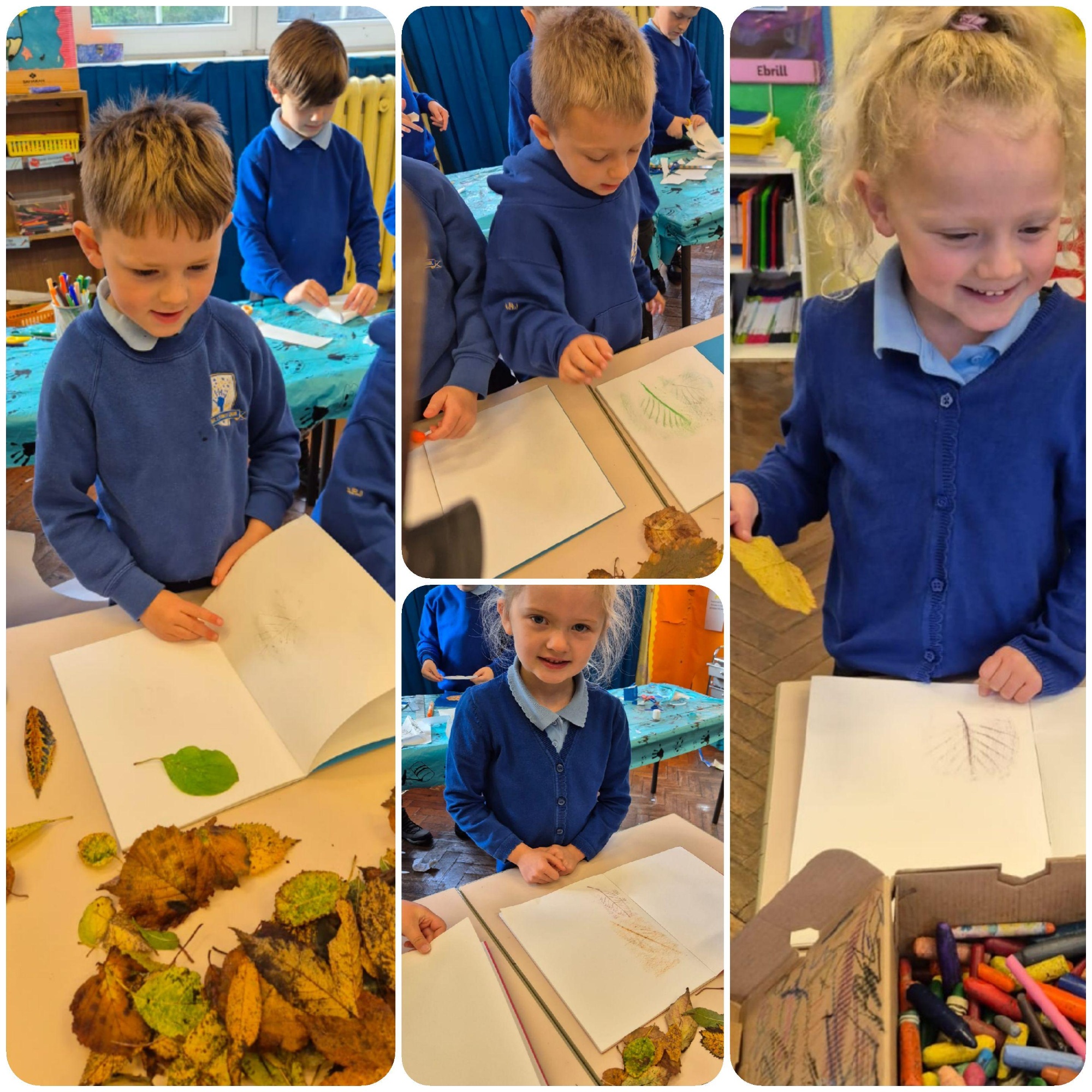 art in nature 12 - Copy.jpg